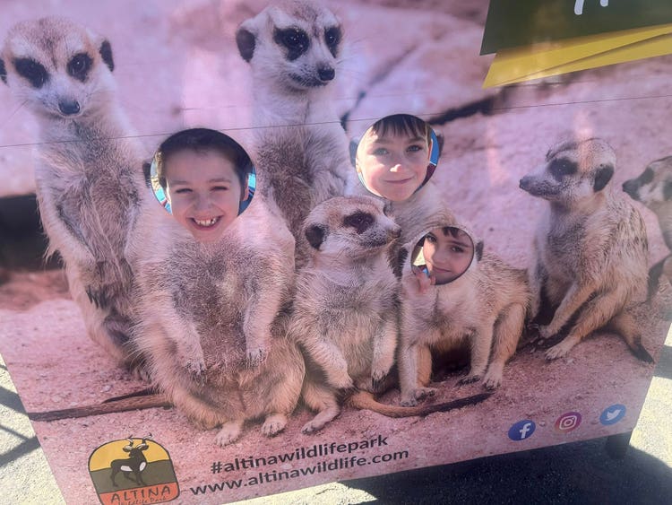Students at a meercat photo at the Altina Zoo.