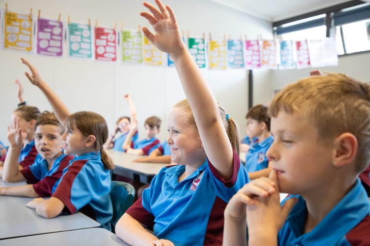 Students in class learning.